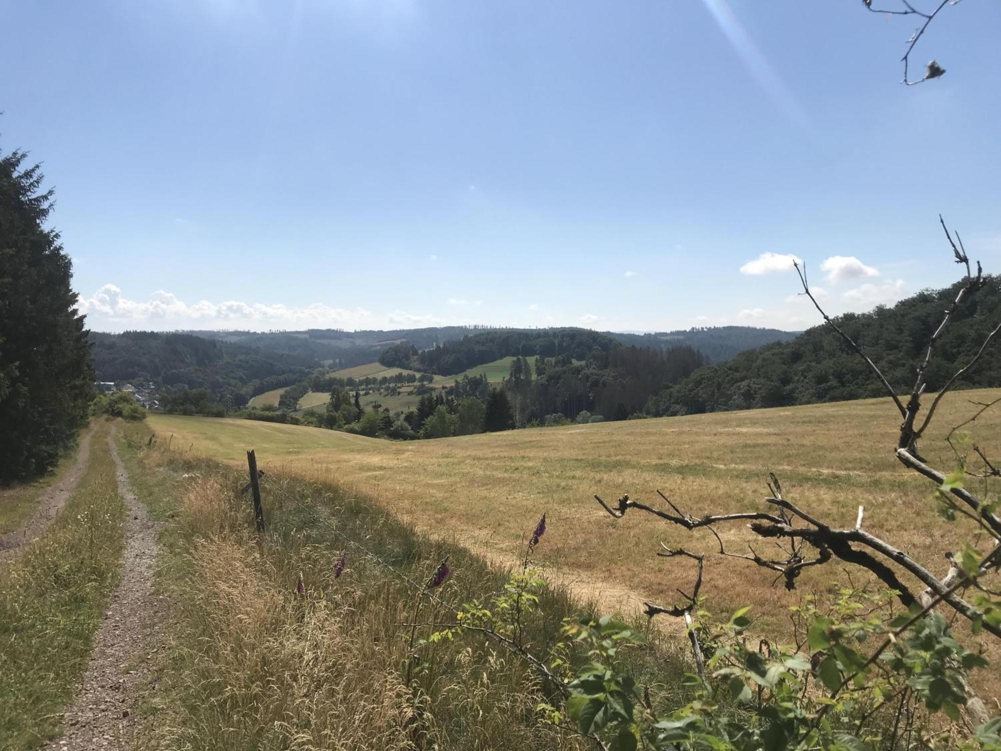 Bergchalet La Roubine Willingen Neerdar Zewnętrze zdjęcie